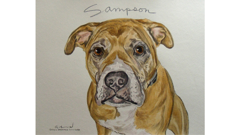 Gene's watercolor of a dog named Sampson