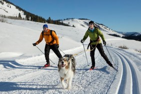 A couple and there dog skijoring in the western United States.