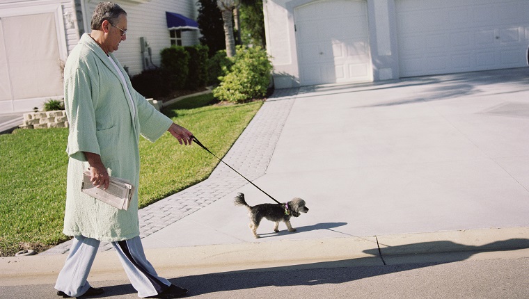 Senior man in bathrobe walking dog, side view