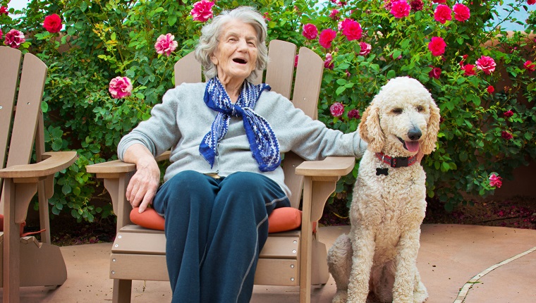 Senior Woman Talking to Service Dog
