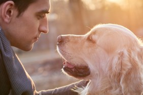 Young man stroking golden retriever in the park