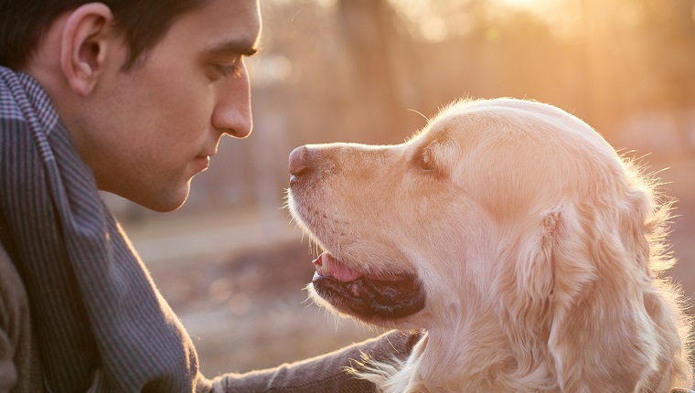 Young man stroking golden retriever in the park