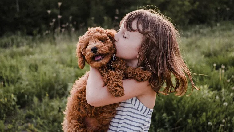 Puppy turning away from girl's kisses