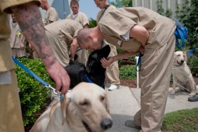 UNITED STATES - JUNE 30: Inmates prepare to head back to their cells after training the dogs for the day. Training the dogs is akin to a full time job for the men, with a fixed schedule and routine happening everyday. The men must care for, exercise and feed the dogs - giving them a sense of responsibility for living creatures, or as the many of them noted, "as if they were our kids."
