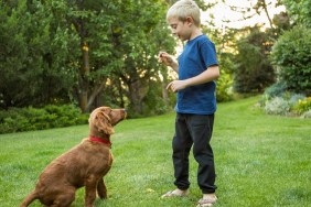 Caucasian boy training dog in grass