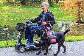 Recipient and her service dog stroll by a pond at the world famous Longwood Gardens in SE Pennsylvania, USA. Recipient has MS. Junius was trained by Canine Partners for Life in PA, and this team is going through 3 weeks of "Team Training" for newly matched recipients and service dogs.