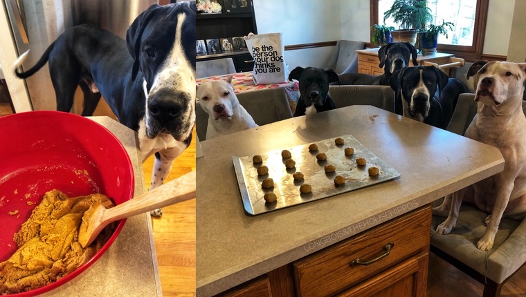 Dog Mom: The Ultimate Easy, Healthy, Homemade Dog Treat Recipe - DogTime