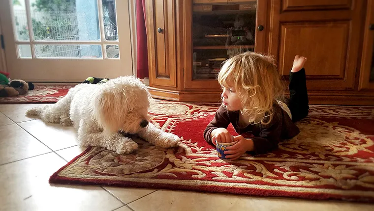 A little girl and her dog are laying together on the floor.