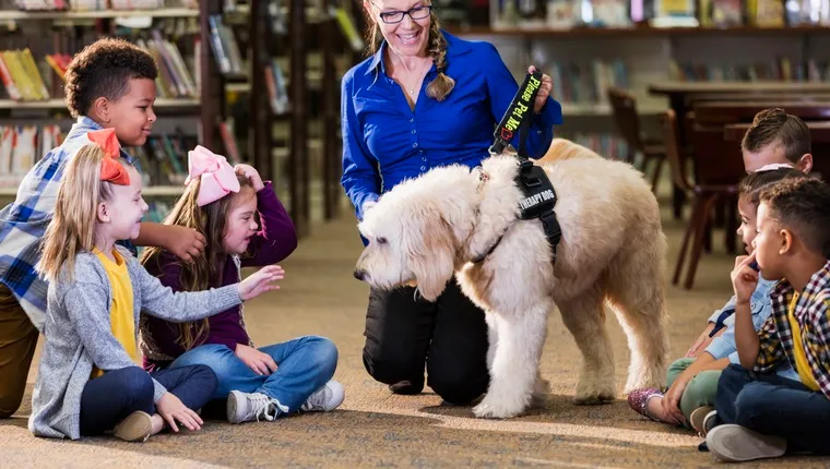 Adhd store therapy dog