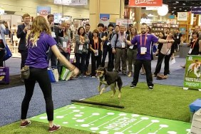 dog jumps rope at global pet expo 2019