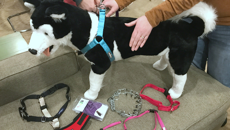 stuffed animal dog with leashes for training