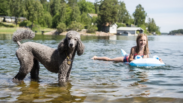 Smiling girl in lake with dog