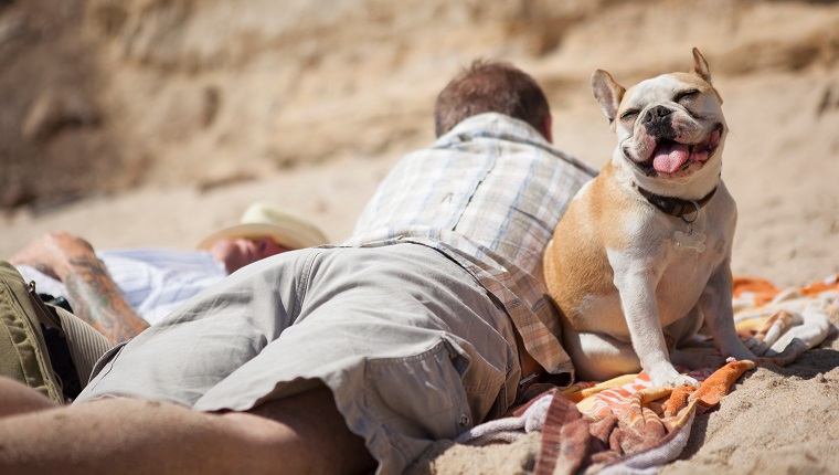 Men relaxing with dog on beach