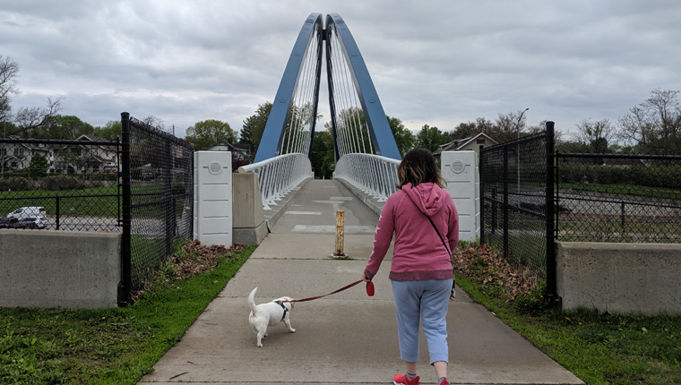 dog on a walk over bridge