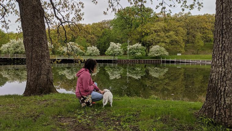dog and human by pond