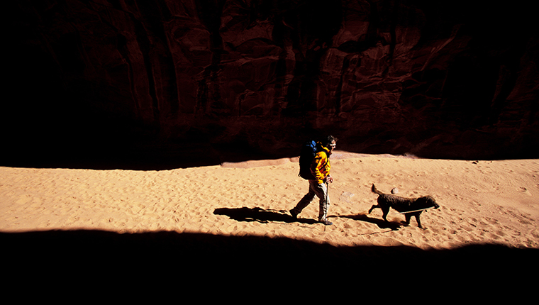 A man and his canine companion walk through a swath of light.