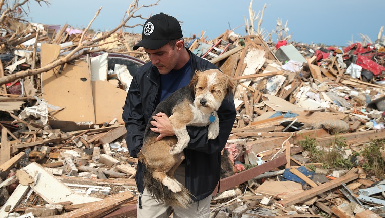 Pet Tornado Safety Tips – FACE Foundation Blog