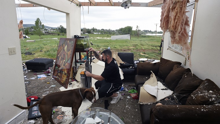 LONGMONT , CO - JUNE 5: Brandon Scott, with his dog Baxter, salvages what he can in the living room of his home that was destroyed when a tornado ripped through it at 15763 North 83rd tree in Longmont, Colorado hard on June 5, 2015. The duo along with Scott's 75 year old grandfather survived the tornado by staying in their basement as it roared through the area. 