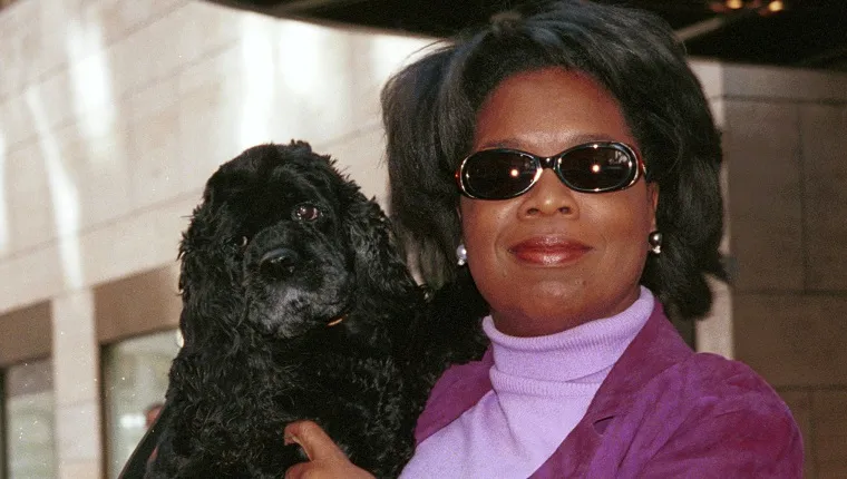 379384 03: ***EXCLUSIVE*** (NO ITALY) Oprah Winfrey holds her dog Solomon in front of the New York City hotel before getting into her limo September 29, 2000. 