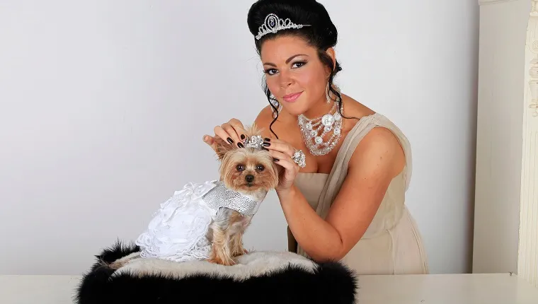 CHELMSFORD, UNITED KINGDOM - MAY 16: ***EXCLUSIVE*** Louise Harris poses with her pet Yorkshire Terrier Lola on May 16, 2011 in Chelmsford, England. Pet-mad Louise Harris, from Chelmsford, Essex,has always treated her dogs like royalty and has now had two tiaras custom-made so her Yorkie Lola can look just like Kate Middleton on her wedding day. Louise, 32, spent GBP£20,00.000 on a dog wedding for Yorkshire Terrier Lola earlier this year, where the pooch married a Chinese Crested dog called Mugly. But while that bash was lavish, Louise, got even more ambitious after watching the royal wedding of Prince William and Kate Middleton last month. Now Louise - who has spent more than GBP£100,000.00 on Lola and her other two Yorkshire Terriers - has had a pair of posh headpieces constructed at GBP£400 each so Lola can look like a dog version of the royal bride. Both are meant to be mini replicas of the tiara Catherine, Duchess Of Cambridge -wore when she married Prince William on April 29. While Kate's version was a priceless Cartier 'halo' tiara loaned to her by the Queen, Lola's were pieced together by bespoke jewellers Latimer Couture using Swarovski crystal and genuine silver. Wearing her own GBP£500 bespoke tiara and matching necklace, Louise said: "I've always seen Lola as my little princess, so it was only fitting she had a tiara just like Kate's. "Now I can call her the Duchess of Yorkshire Terrier!"