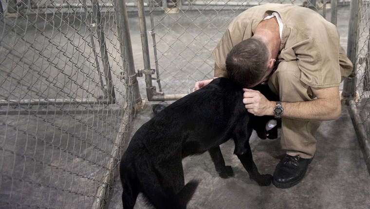 UNITED STATES - JUNE 30: Bay Correctional Facility inmate Douglas Whitney locks up his dog Cletus after the afternoon training session. This is his fourth dog he's trained in as many years. "It's taught me to respect life," he said. "I'm more patient and caring now than when I came in here."