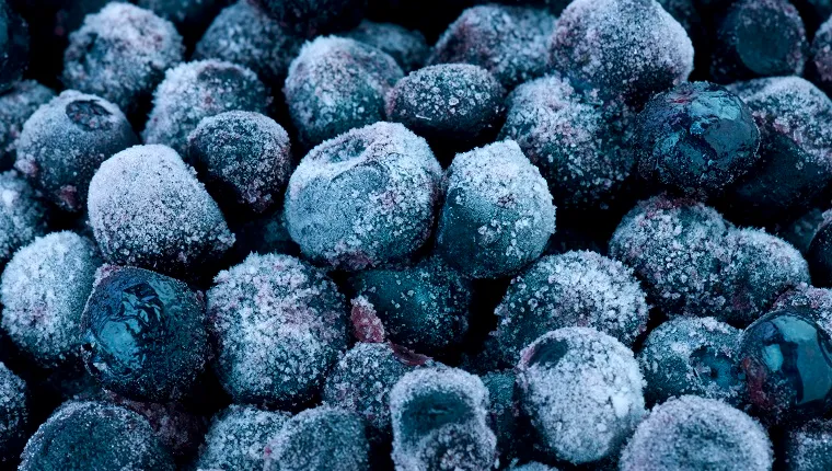 Frozen blueberries up close.