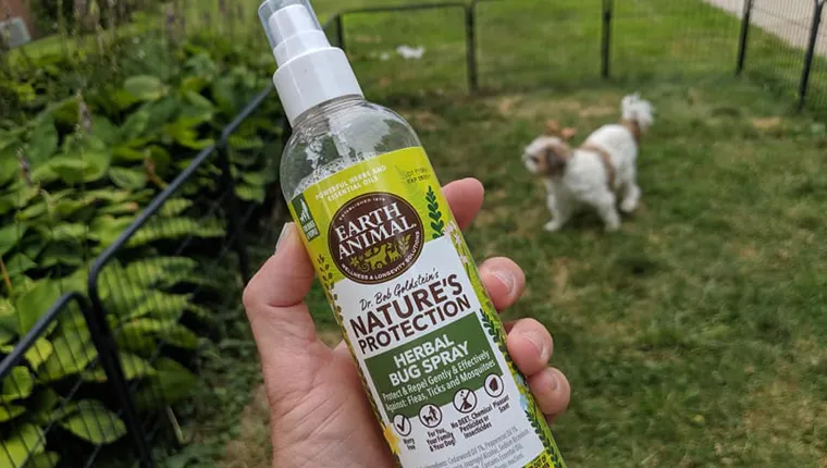 Nature's Protection herbal bug spray