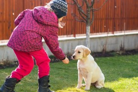 Horizontal image of a 6 years old girl training her Labrador retriever puppy in backyard.