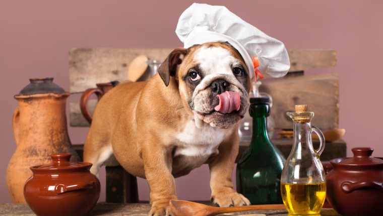 Bulldog Big Cook Xxx Video - Can Dogs Have Olive Oil? Is Olive Oil Safe For Dogs? - DogTime