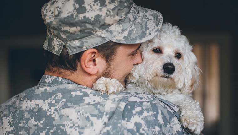 Soldier greeting his cute white dog after long time.