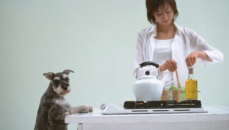Cooking in kitchen with dog