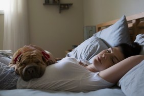 Woman and dog sleeping in bed