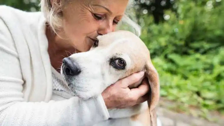 Companion animals: can they alleviate loneliness among older adults?