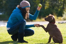A young woman training a chocolate lab puppy to shake hands at a park.
