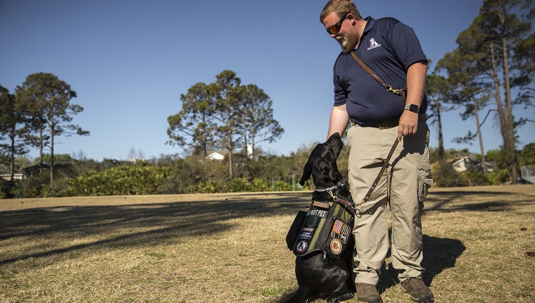 PONTE VEDRA, FL - MARCH 15: Adam Fuller and his dog JD demonstrate the "cover" command for the class. The command brings the dog to the owner's side and looking behind them to protect the person when they have their back turned to a group of strangers. Fuller helps teach as part of the K9s for Warriors program, a graduate of the program in January, he is training to be a full time instructor with the organization.