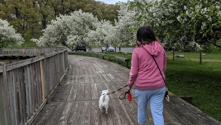 woman walking dog on wooden path
