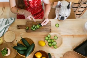 French bulldog watching woman cutting cucumber on table