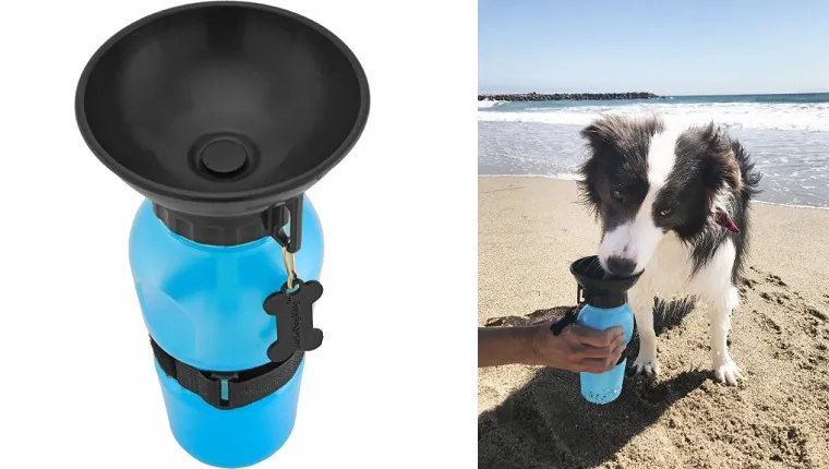dog water bottle