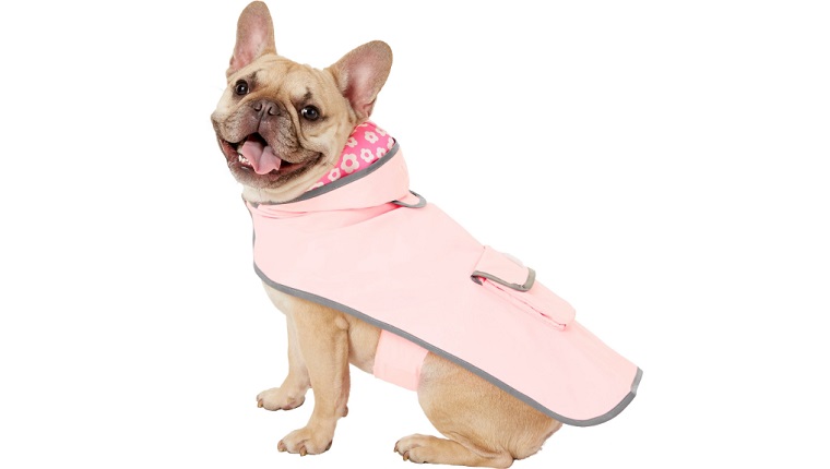 raincoat for dogs