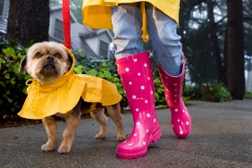 Girl in pink poke a dotted rain boats and yellow rain jacked is walking her dog that is wearing a yellow rain coat.
