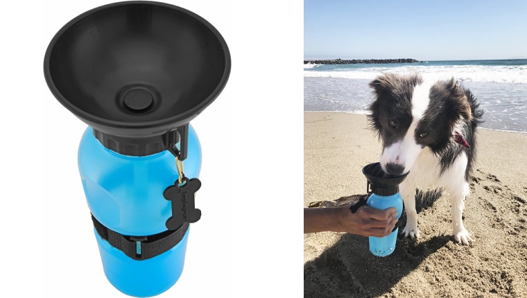 water bottle for dogs