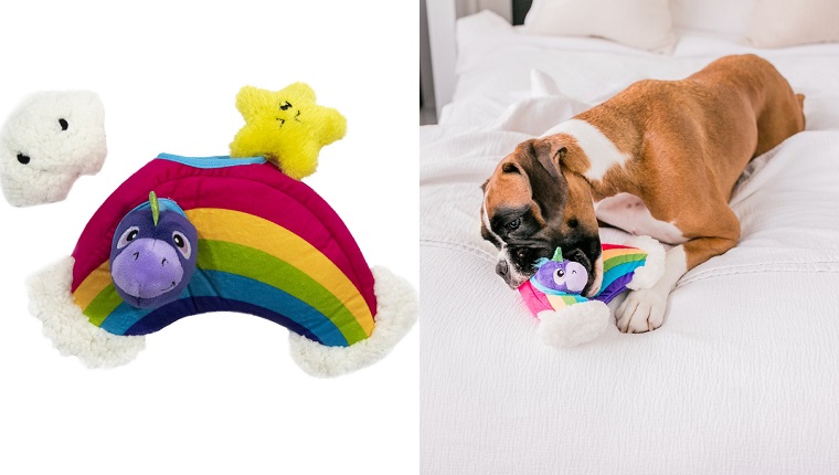 dog rainbow toy