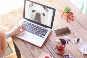 Woman looking at photo of dog on laptop
