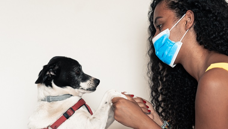 Girl going out with her dog, with all prevention. Young girl worries about coronavirus.Time to go out with her pet, with mask. Covid 19 concept. Image