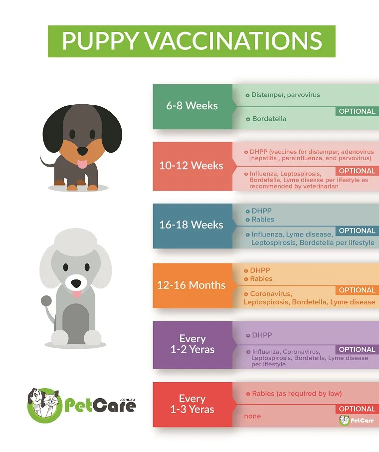 a vaccination schedule for puppies and dogs