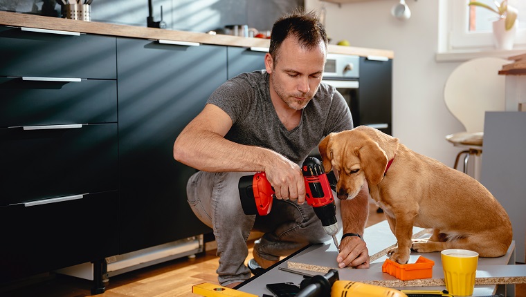 Man with small yellow dog working on a new kitchen installation