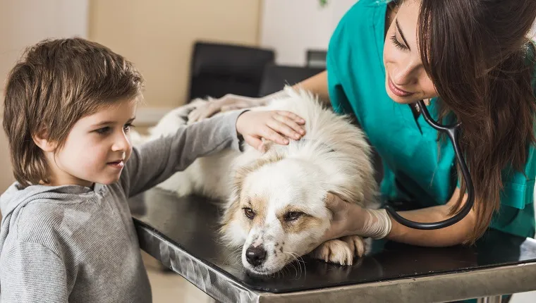 Little boy taking care of his dog while female veterinarian is examining him.