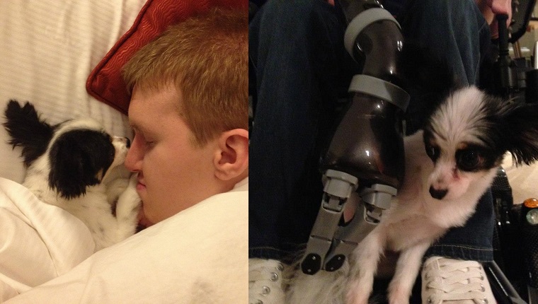 Left: Kevin and Piper snuggle together. Right: Piper looks skeptical about robotic arm assistive technology. 