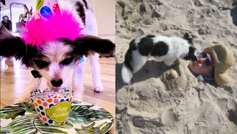 Left: Piper's 14th Birthday with Kevin. Right: Kevin and Piper have fun at the beach.