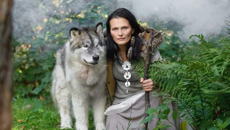 Portrait of a forest dweller young woman with a large dog Alaskan Malamute in the autumn forest